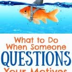 Goldfish with Shark hat. Title: What to do when someone questions your motives