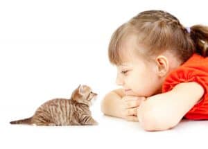Teach Kids Kindness - little kitten and girl in orange